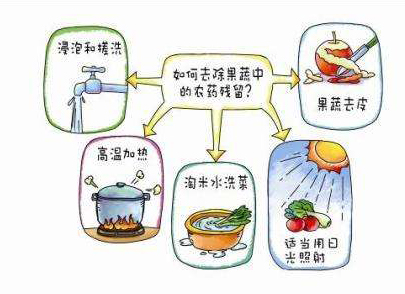 如何減少農(nóng)藥污染去除農(nóng)藥殘留？振華化工總結(jié)以下幾點(diǎn)分享給大家